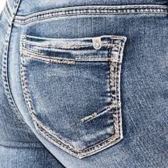 Silver Jeans Co. Women's Elyse Curvy Mid Rise Skinny Fit Ankle Jean